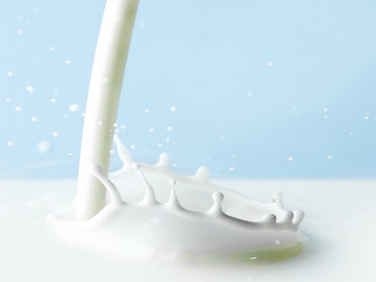 Setor lácteo abre caminho para exportações